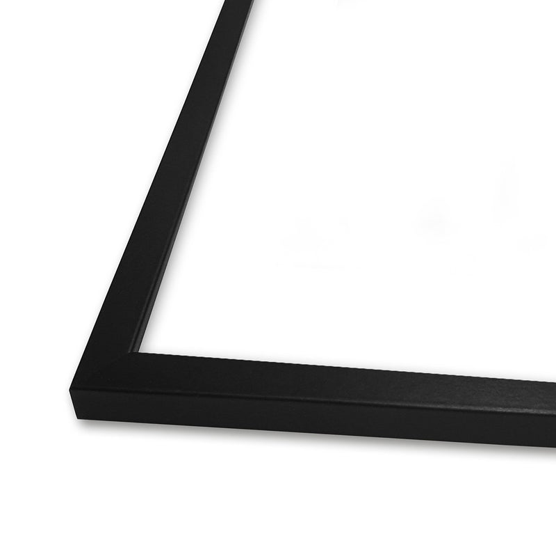 Black frame (with plexiglass)